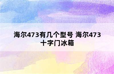 海尔473有几个型号 海尔473十字门冰箱